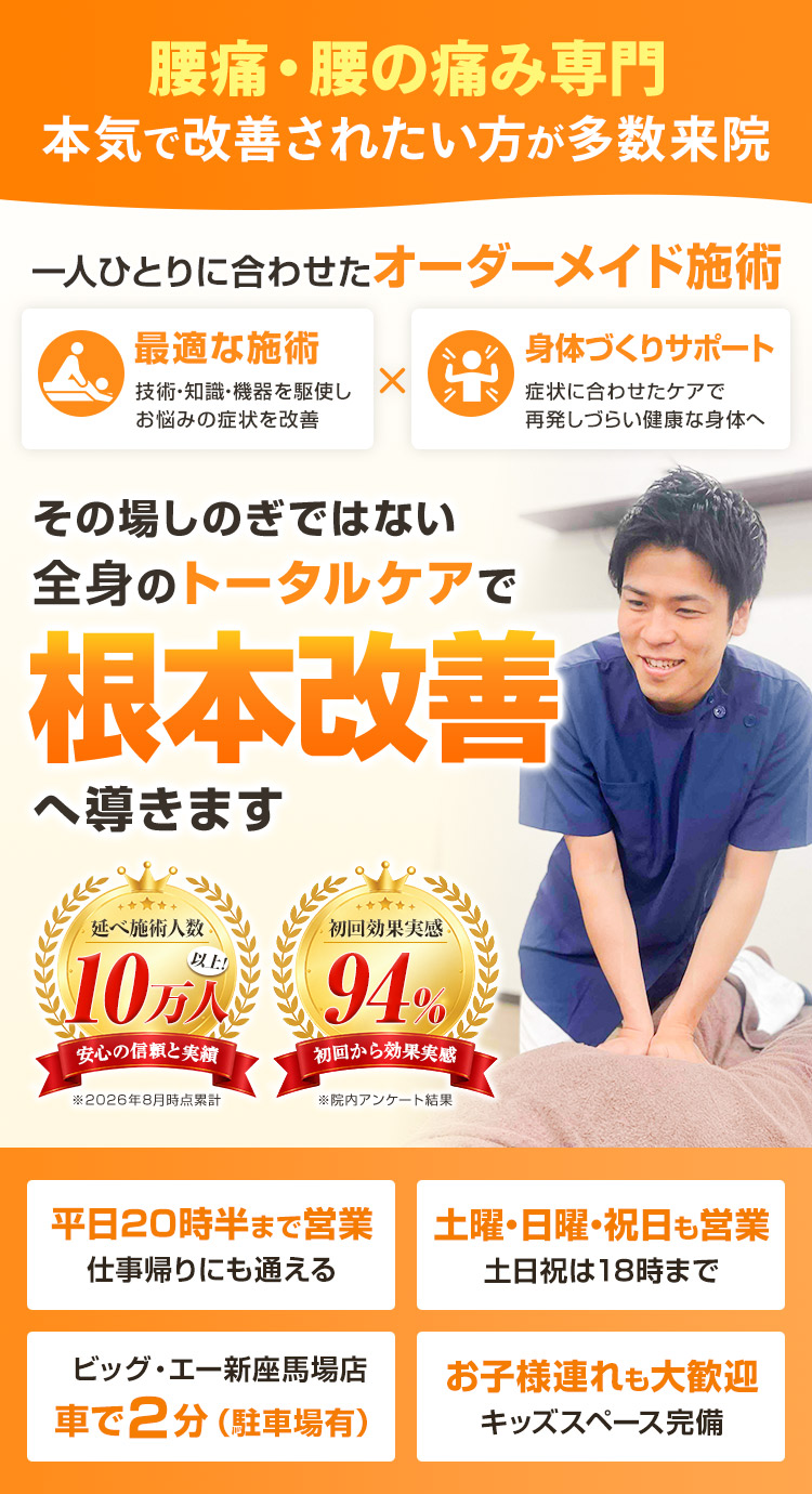 新座トータルケア整骨院 腰痛 ファストビュー